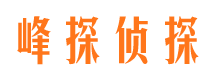 颍上市婚外情调查